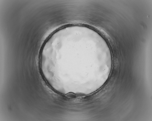 X0000111881279200908131626