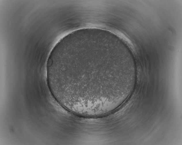 X0000111881280200908131626