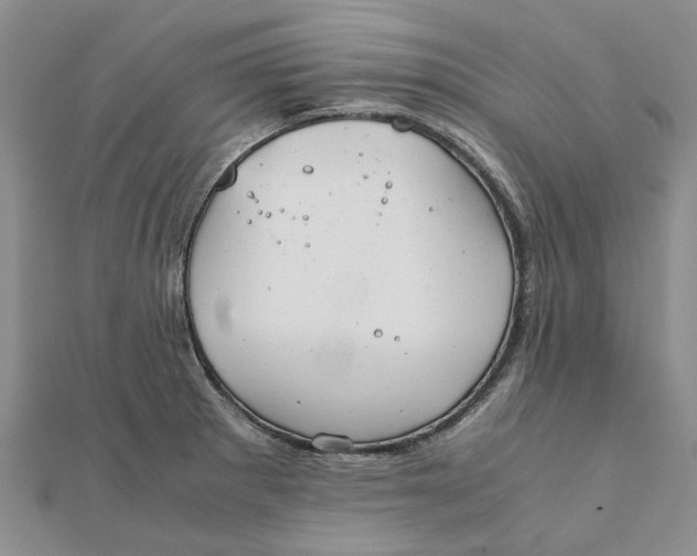 X0000111881281200908131626