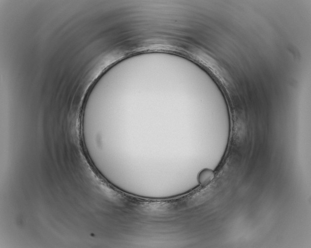 X0000111881282200908131626