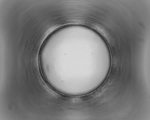 X0000111881283200908131626