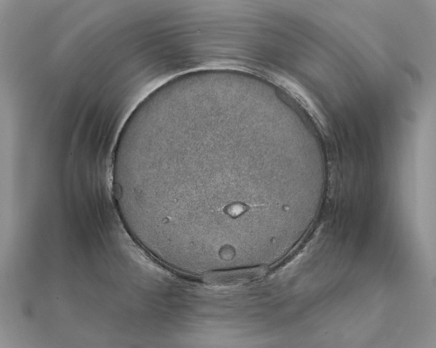 X0000111881284200908131626