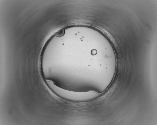 X0000111881285200908131626