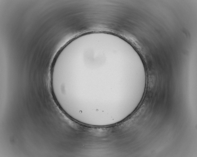 X0000111881286200908131626