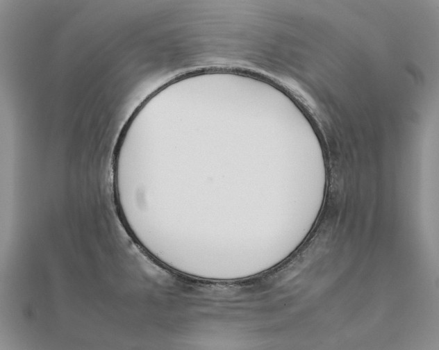 X0000111881287200908131626