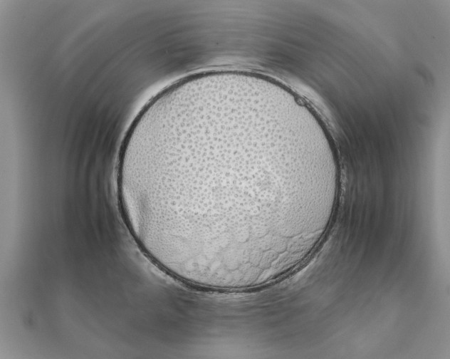 X0000111881288200908131626