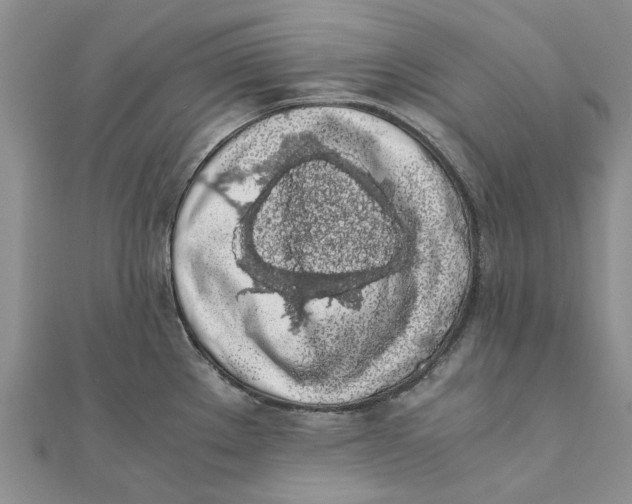 X0000111881289200908131626