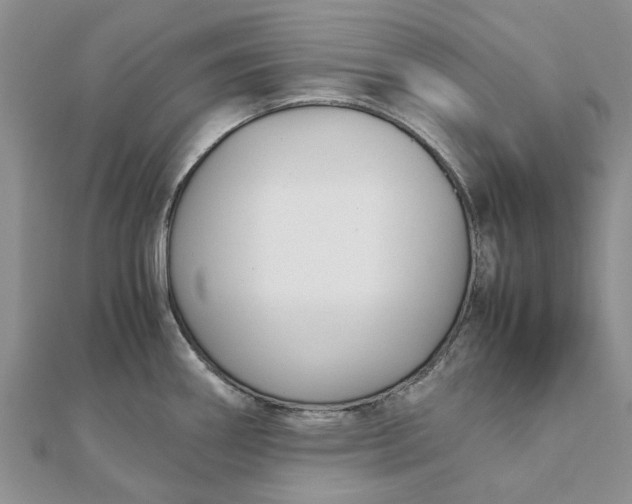 X0000111881290200908131626