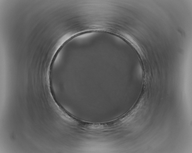 X0000111881291200908131626