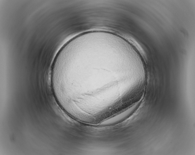 X0000111881292200908131626