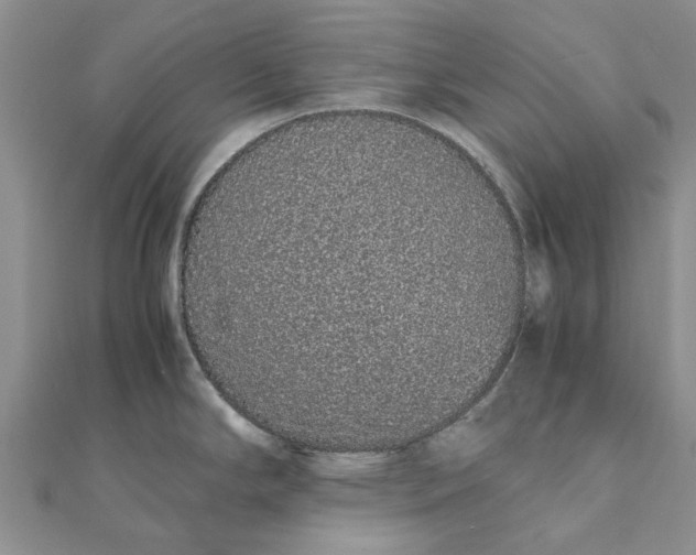 X0000111881294200908131626