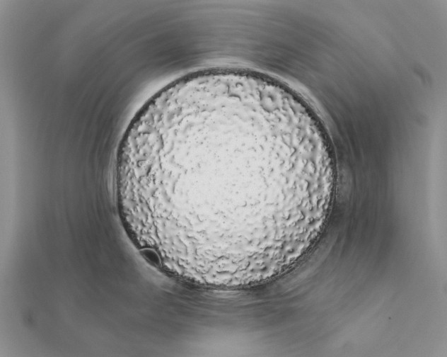 X0000111881295200908131625