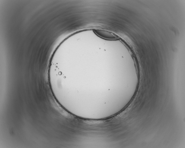 X0000111881296200908131625