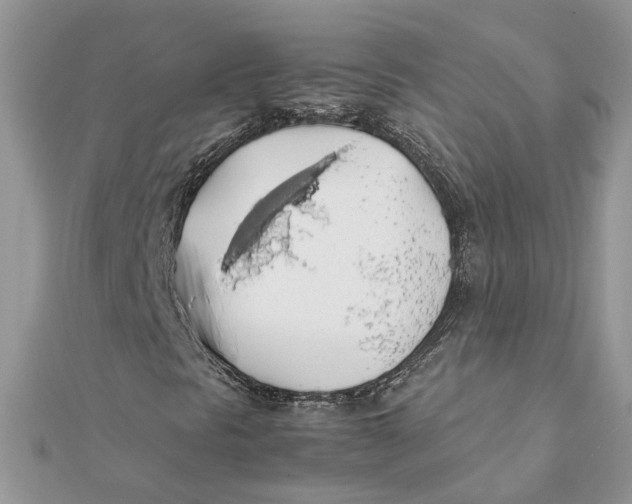 X0000111881297200908131625