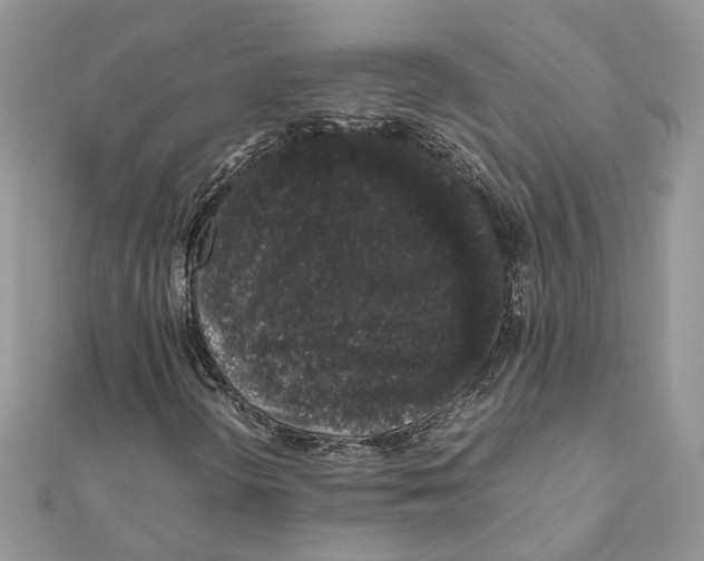 X0000111881298200908131625