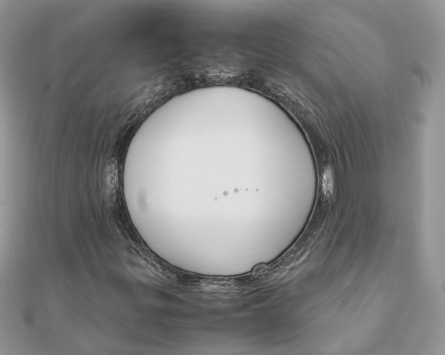 X0000111881299200908131625