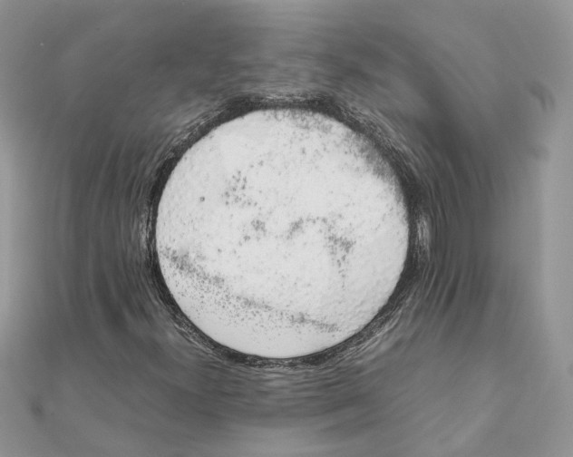 X0000111881300200908131625