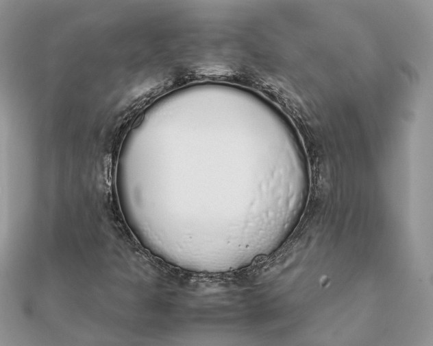 X0000111881301200908131625