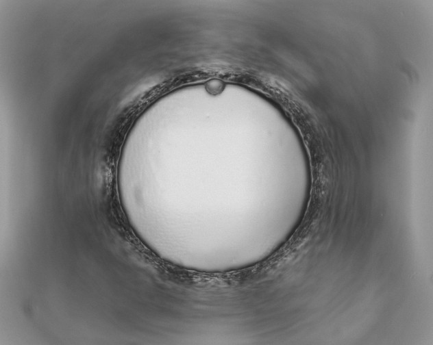 X0000111881302200908131625