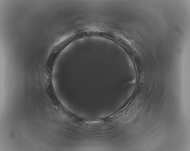 X0000111881303200908131625