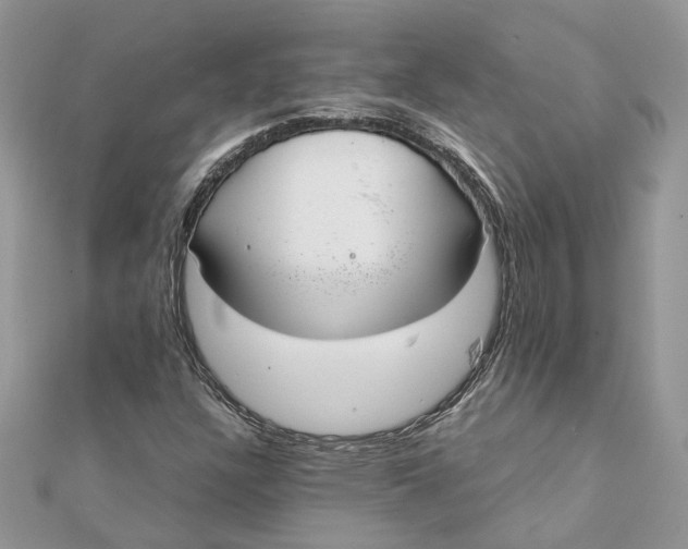 X0000111881304200908131625