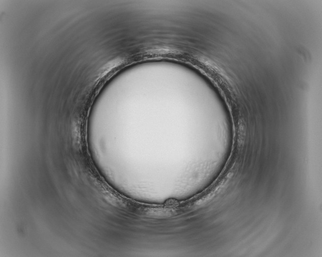 X0000111881305200908131625