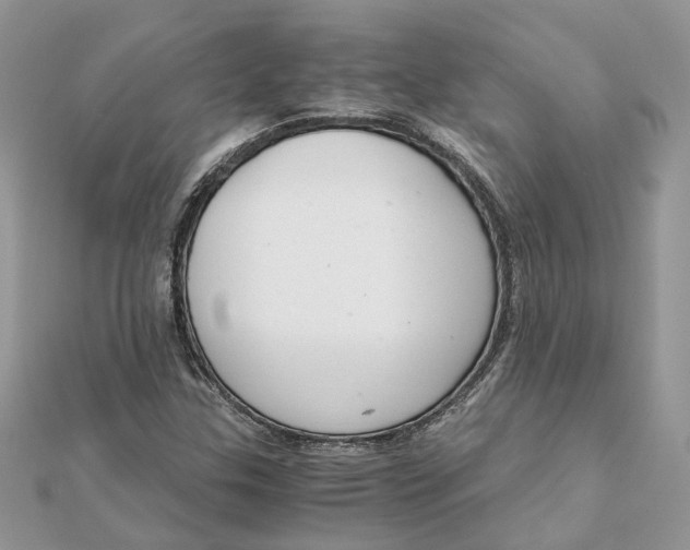 X0000111881307200908131625