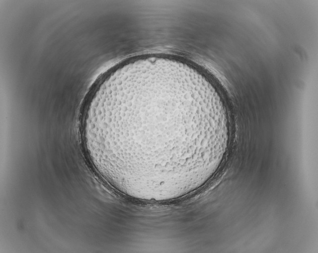 X0000111881308200908131625