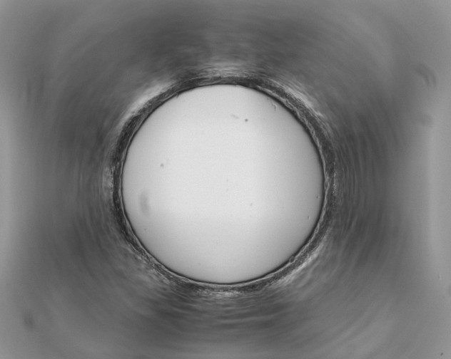 X0000111881309200908131625