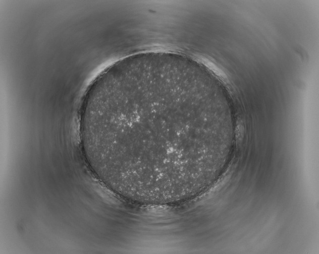 X0000111881310200908131625