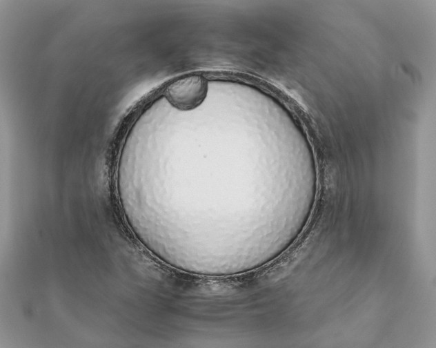 X0000111881311200908131625