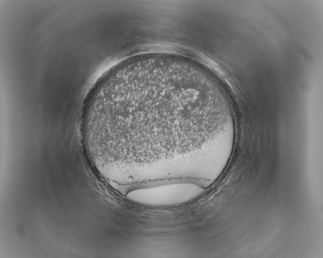 X0000111881312200908131625