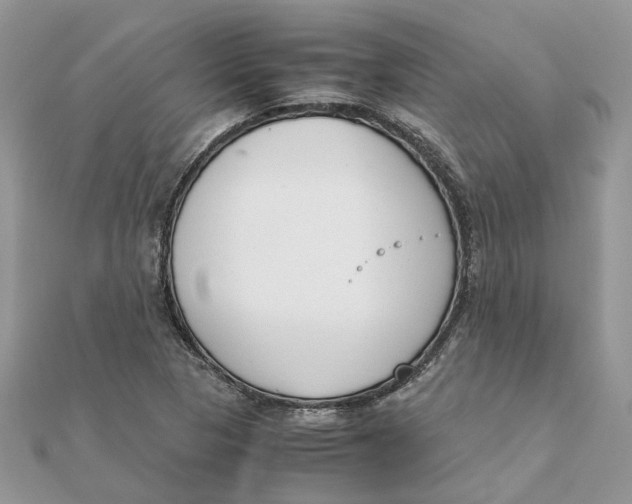 X0000111881313200908131625