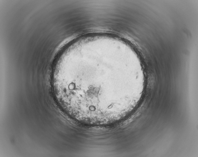 X0000111881314200908131625