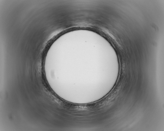 X0000111881315200908131625