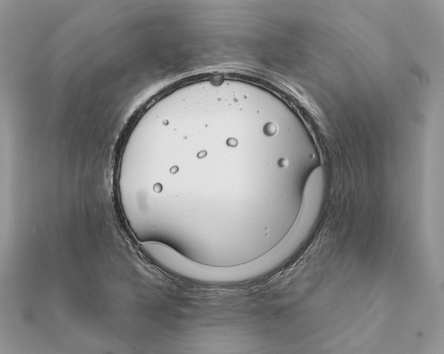 X0000111881316200908131625