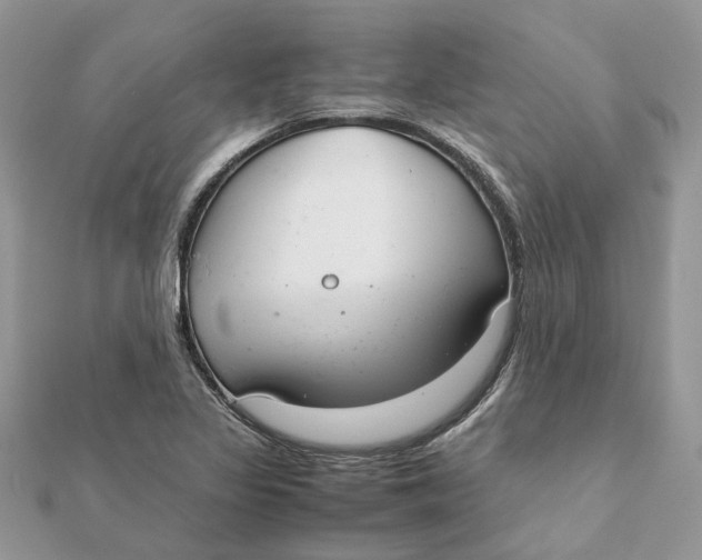 X0000111881317200908131625