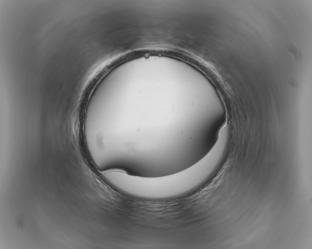 X0000111881319200908131625