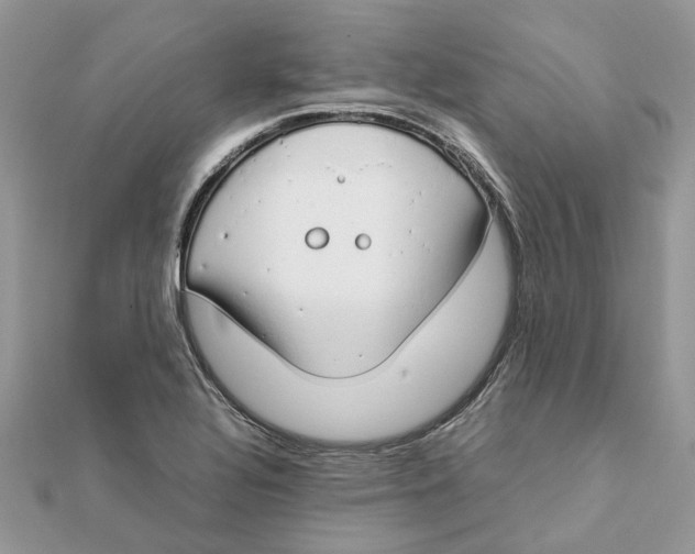 X0000111881320200908131625