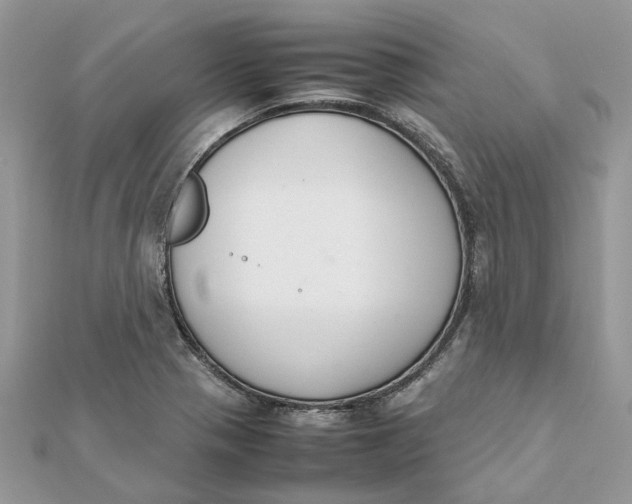 X0000111881321200908131625