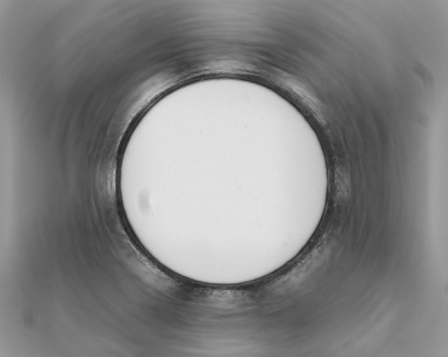 X0000111881322200908131625