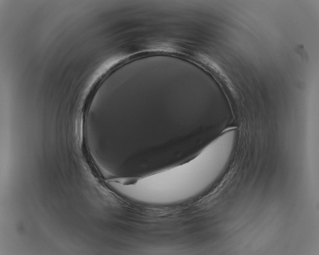 X0000111881323200908131625