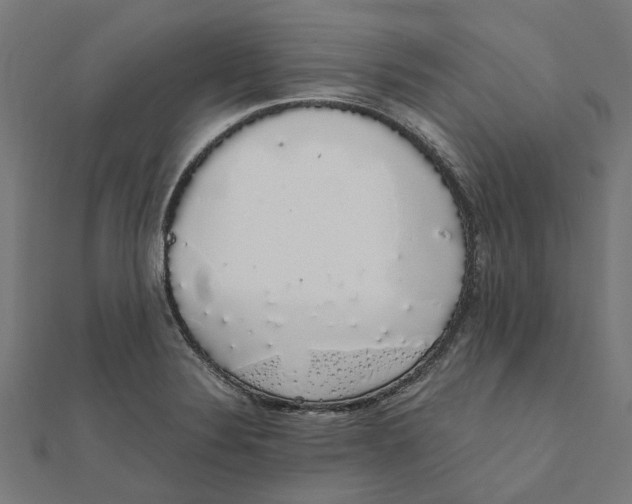 X0000111881324200908131625