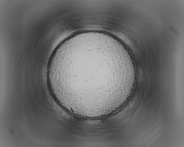 X0000111881325200908131625