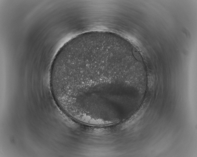 X0000111881326200908131625