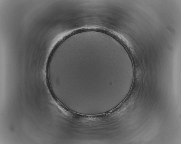 X0000111881327200908131625