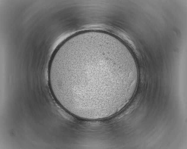 X0000111881328200908131625