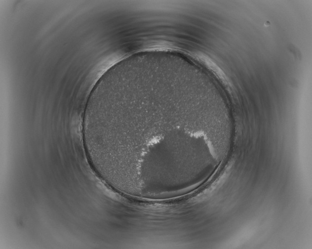 X0000111881329200908131625