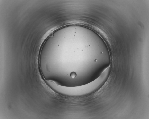 X0000111881330200908131625