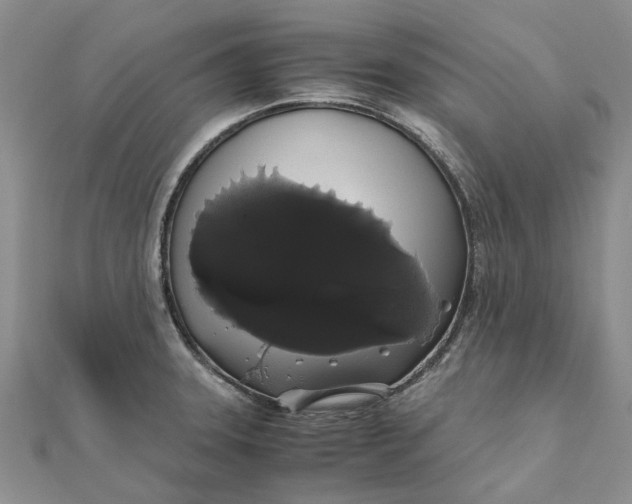 X0000111881331200908131625